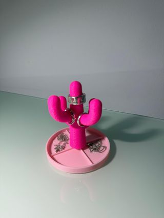 Organizador de joyas cactus 