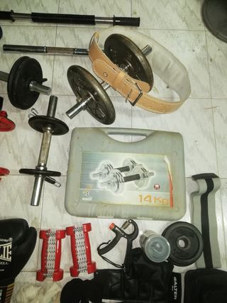 Lote Pesas y Accesorios Gimnasio