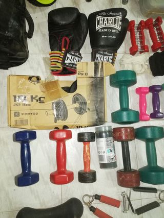 Lote Pesas y Accesorios Gimnasio