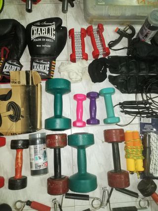 Lote Pesas y Accesorios Gimnasio