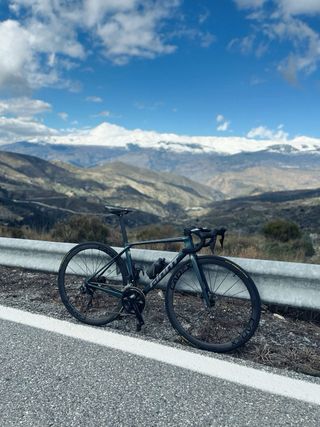 Cuadro Giant TCR