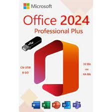 Office 2024 Professional Plus USB + Licenza