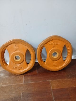 Pareja discos 5kg all4gym