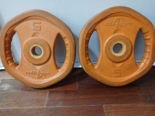 Pareja discos 5kg all4gym
