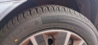 Neumáticos 195/55R15 89V todo tiempo