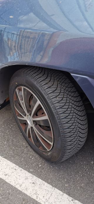 Neumáticos 195/55R15 89V todo tiempo