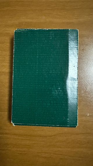 Icona sacra Madonna con Bambino