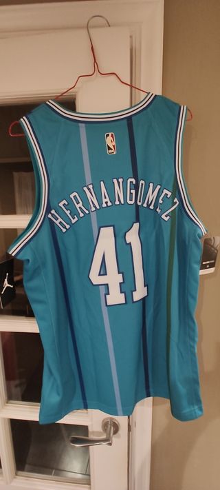 Camiseta NBA Jordan Hornets #41 Hernangómez Jordan