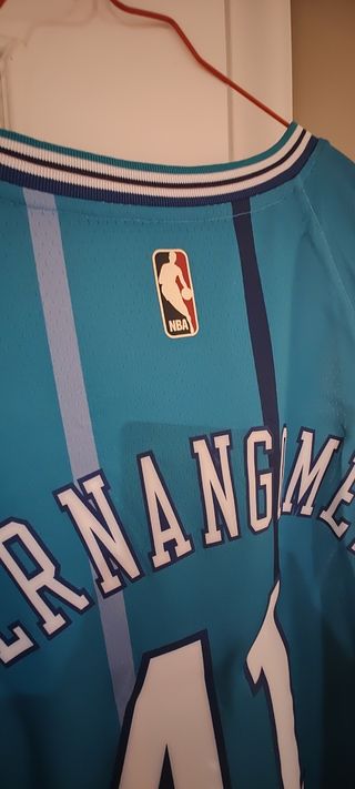 Camiseta NBA Jordan Hornets #41 Hernangómez Jordan
