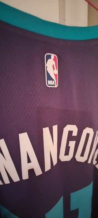 Camiseta NBA Jordan #41 Hernangómez Charlotte