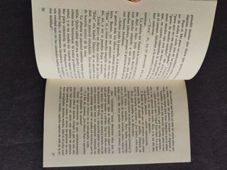 Cinco panes de cebada (Gran Angular)