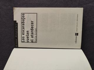 Los escarabajos vuelan al atardecer (Gran Angul...