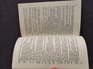 Los escarabajos vuelan al atardecer (Gran Angul...