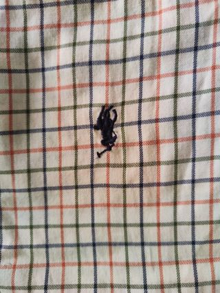 Camisa Ralph Lauren y Benetton para adolescente.