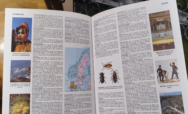 Diccionario Enciclopédico Universal