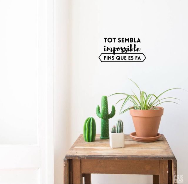 Vinilo decorativo pared català