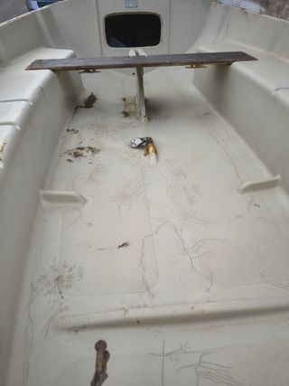 Barca de fibra con remolque.