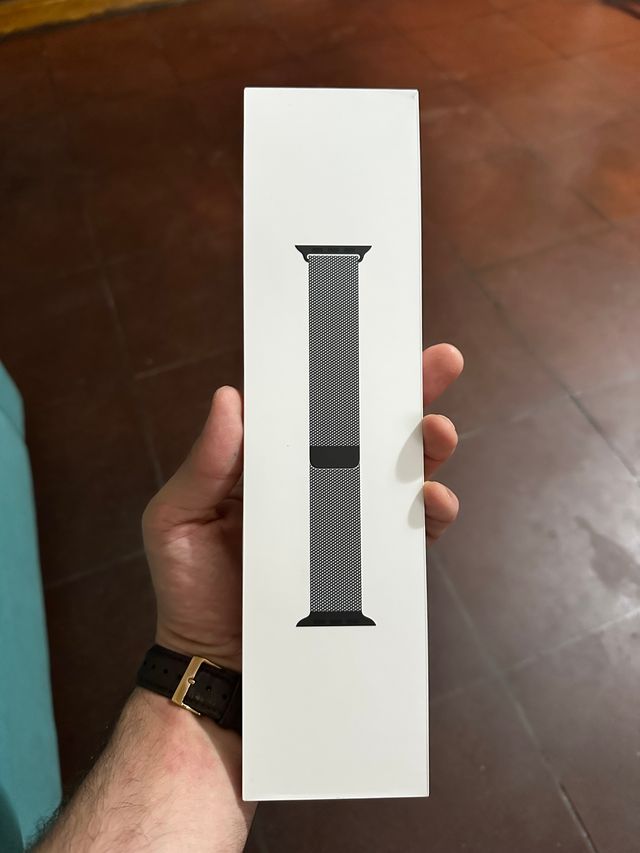 Cinturino Apple Watch 45mm Acciaio