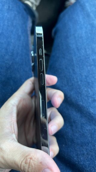 iPhone 12 Pro Max 256GB Plata