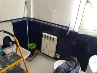 grupo de especialistas