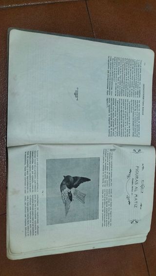 Instrucciones para bordar con las Máquinas Singer.