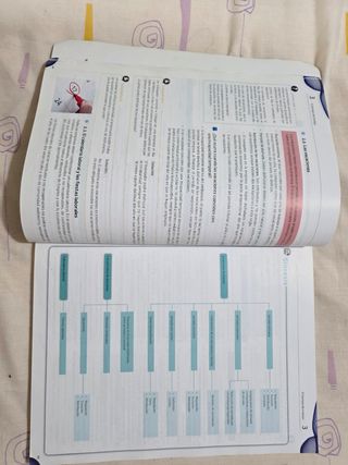 FORMACION Y ORIENTACION LABORAL libro de texto FOL