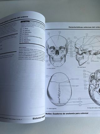 Netter Cuaderno de Anatomía para Colorear 2a Ed.