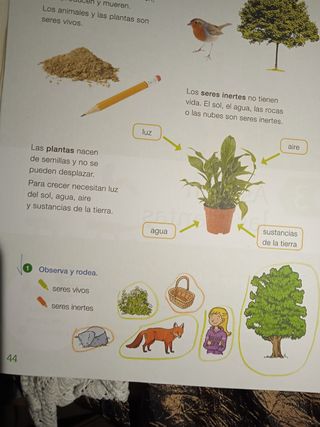 CIENCIAS DE LA NATURALEZA 2 PRIMARIA SABER HACE...
