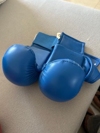 Protecciones Artes Marciales Fujimae Talla M