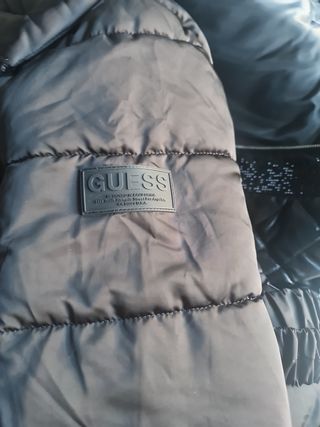Plumas Guess negro con cinturón