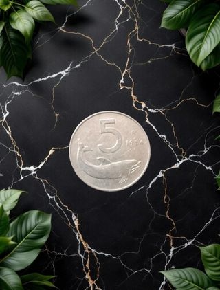 5 Lire 1954 Delfino