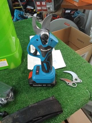 Nebulizzatore 16L + forbici potatura