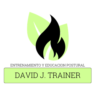 Entrenador personal online