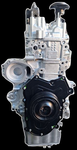 Motor 204 DTA