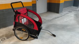 Carro doble para bicicleta de niños