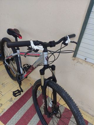 Bicicleta Berg 29