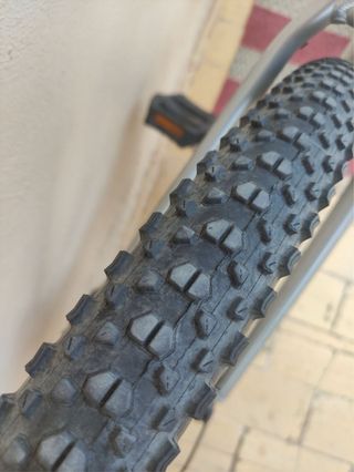 Bicicleta Berg 29