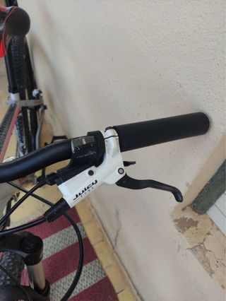 Bicicleta Berg 29