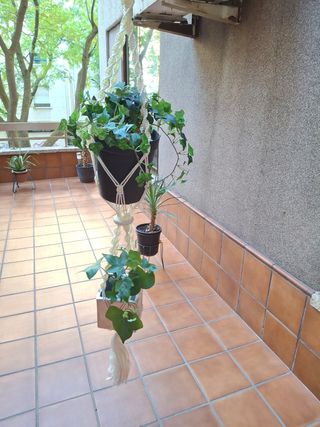 Portamacetas macramé colgante