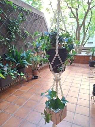 Portamacetas macramé colgante