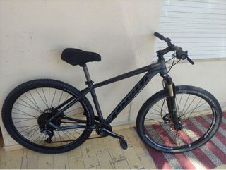 Bicicleta Cloot 29