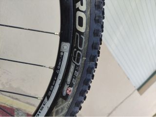 Bicicleta Cloot 29