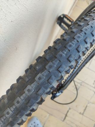 Bicicleta Cloot 29