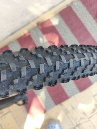 Bicicleta Cloot 29