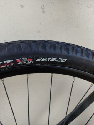 Bicicleta Cloot 29