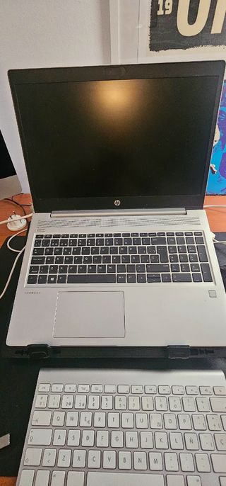 HP ProBook 455 G7 Plata