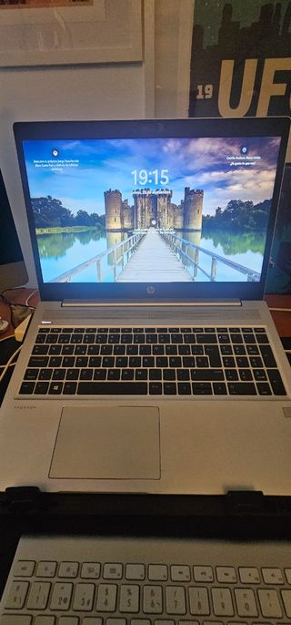 HP ProBook 455 G7 Plata