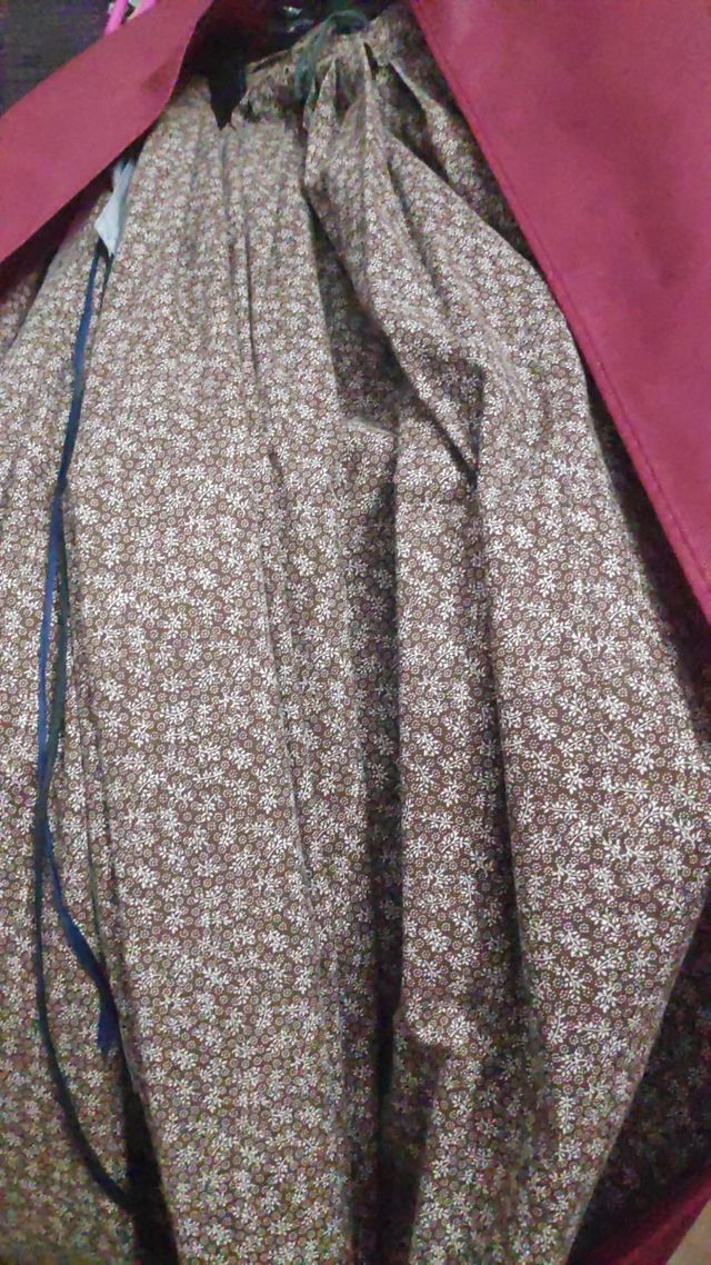 Falda Baturra Marrón + Delantal + Manguitos