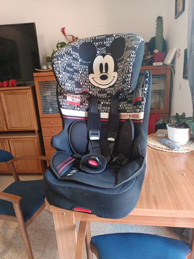 Silla de niño de 6 a 36 kl