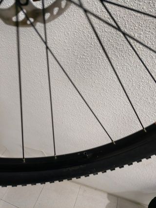 Rueda 29/700c para rodillo con cubierta